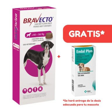 Bravecto 40 a 56 KG | Antipulgas para Perro