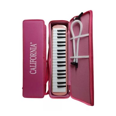MELODICA 37 TECLAS CON ESTUCHE Y ACCESORIOS PARA APRENDIZAJE MUSICAL - 1