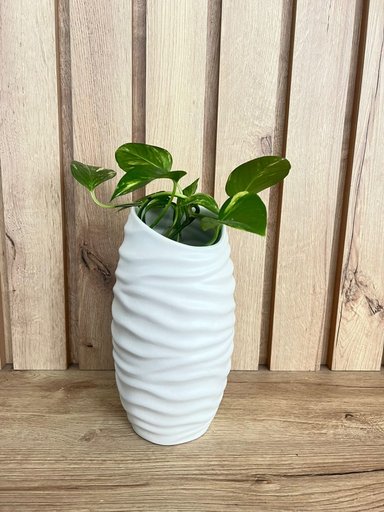 FLORERO MAP DESIGN BLANCO SOHO LARGO PETIT 12.5X8.5X24 CM