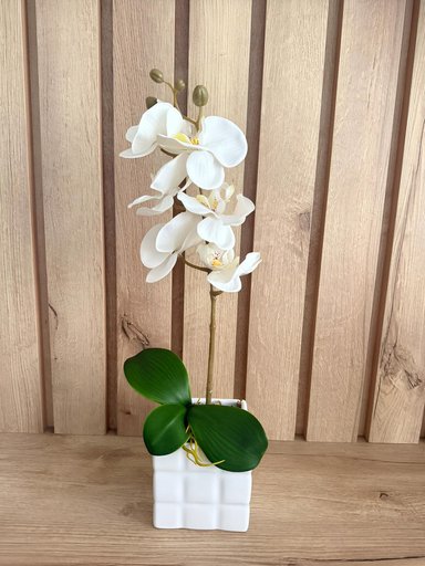 ARREGLO FLORAL ORQUIDEA BLANCA MODERN