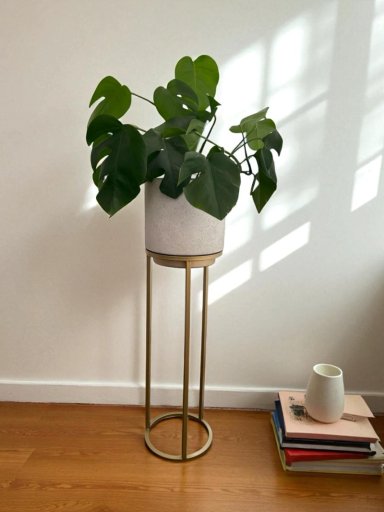 MACETERO DE PISO SAVANAH 23X85 CM