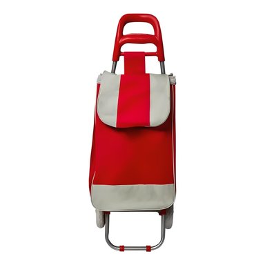 COCHE GRANDE CARRITO COMPRAS MERCADO HOGAR