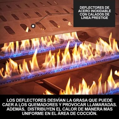 PARRILLA HIGRILL NEGRO A GAS MULTICOCCION 5 QUEMADORES EMBUTIR QUEMADOR INFRARROJO - 8