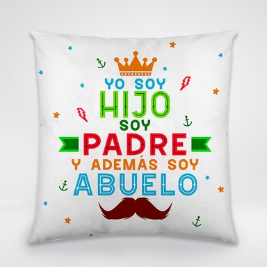 COJIN DIA DEL PADRE 13 BLANCO