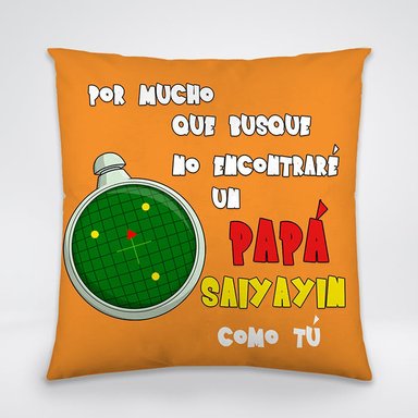 COJIN DIA DEL PADRE 22