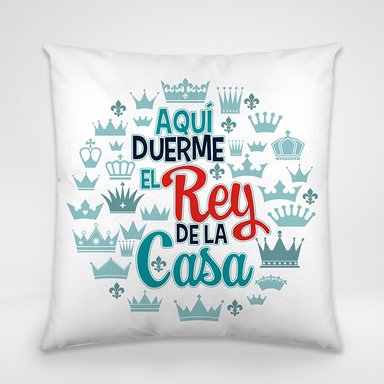 COJIN DIA DEL PADRE 20