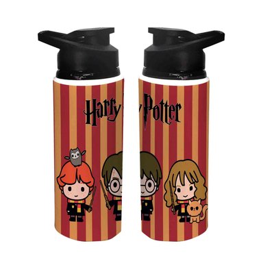 TOMATODO DEPORTIVO HARRY POTTER 17