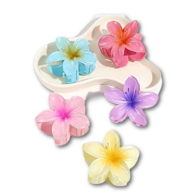 PACK 5 GANCHOS FLORES GRANDES EL CABELLO