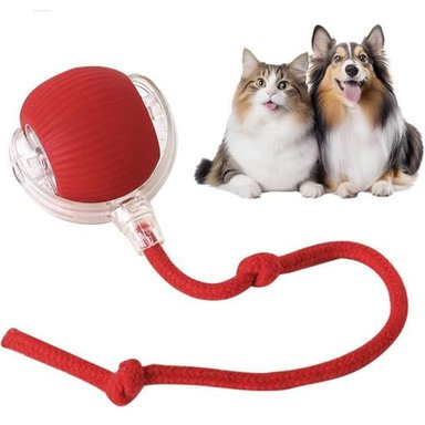 PELOTA INTERACTIVA PARA MASCOTA CON LUCES LED RECARGABLE COLOR VARIADO