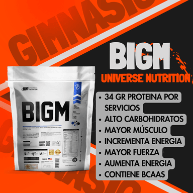 BIGM 2 KG (VAINILLA) + SHAKER - 2