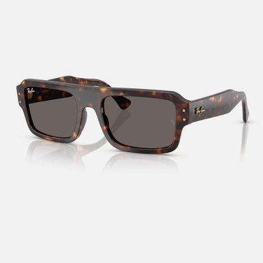 LENTES DE SOL RAY BAN LUKAS RB4454 BROWN 53-20