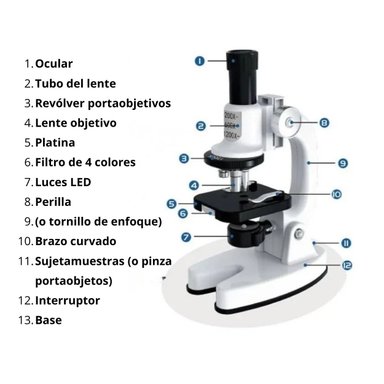 SET MICROSCOPIO INFANTIL CON AMPLIACIÓN HASTA X1200 - 4
