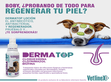 PACK DERMATOLÓGICO PERROS Y GATOS VETLINEX (SHAMPOO MEDICADO CLORHEXIDINA MÁS CLOTRIMAZOL + LOCIÓN DERMA TOP - 2