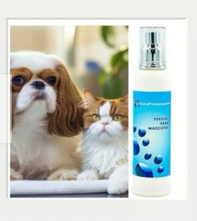 PERFUME VEGANO PARA PERROS Y GATOS MACHOS  CIENFRAGANCIAS CIEN ESENCIAS  AMADERADO ESPECIADO, SUAVE Y ELEGANTE 150ML