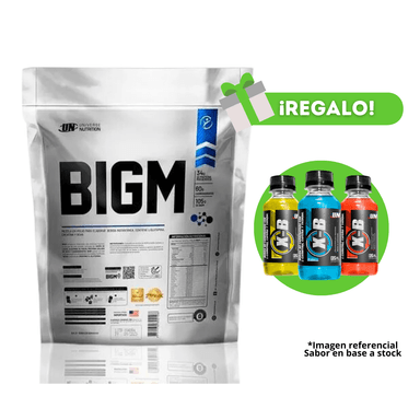 PROTEÍNA BIGM 3KG CHOCOLATE + X-B
