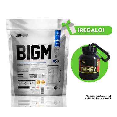 PROTEÍNA BIGM 3KG CHOCOLATE + PORTAPROTEINA