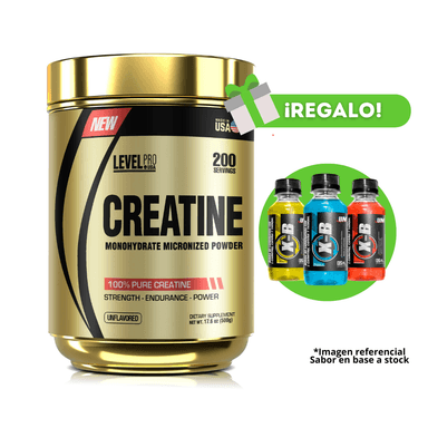 CREATINA MICRONIZADA LEVEL PRO 500G + X-B