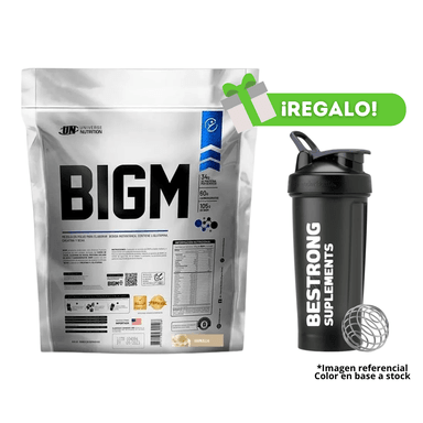 PROTEÍNA BIGM 5KG VAINILLA + SHAKER
