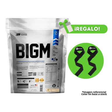 PROTEÍNA BIGM 5KG VAINILLA + STRAPS