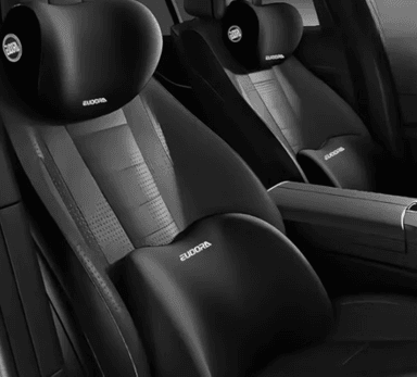 COJIN REPOSACABEZAS CON SOPORTE LUMBAR PARA EL ASIENTO DEL AUTO