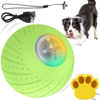 PELOTA PERROS INTERACTIVA CON CONTROL REMOTO D6CM