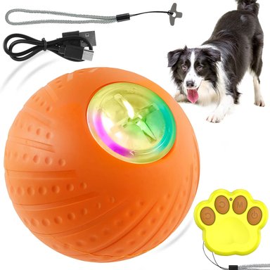 PELOTA PERROS INTERACTIVA CON CONTROL REMOTO D6CM