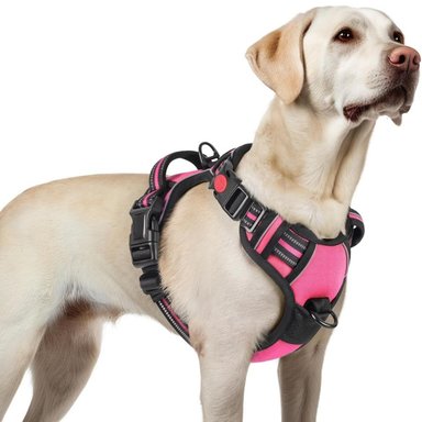 ARNÉS AJUSTABLE PARA PERRO TALLA LARGE ANTITIRONES REFLECTANTE CON ASA COLOR ROSA OSCURO