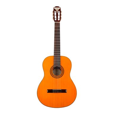 GUITARRA ACUSTICA EPIPHONE PRO-1
