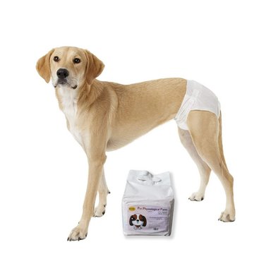 PAÑALES DESECHABLES PARA PERRA HEMBRA L