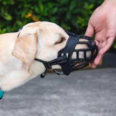 BOZAL FLEXIBLE DE SILICONA PARA PERROS TALLA 3