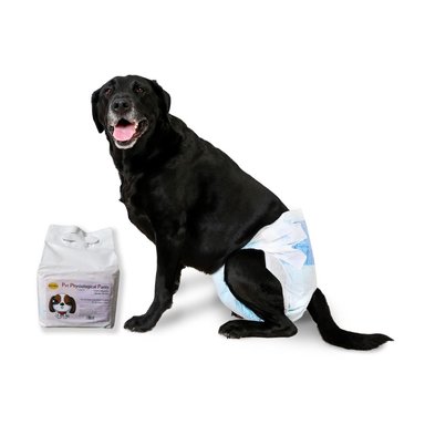 PAÑALES DESECHABLES PARA PERRA HEMBRA XL