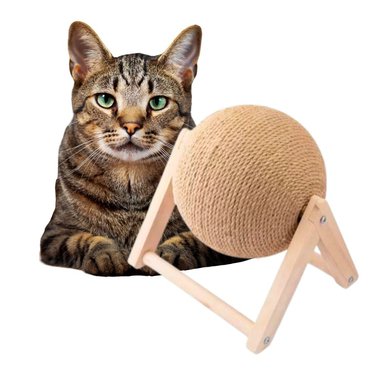 RASCADOR BOLA ROTATIVA PARA GATOS