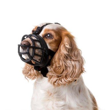 BOZAL FLEXIBLE DE SILICONA PARA PERROS TALLA 2