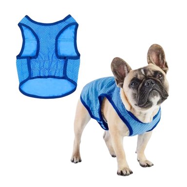 CHALECO FRÍO REFRIGERANTE PARA MASCOTAS AZUL