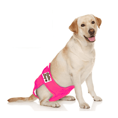 PAÑAL DE INCONTINENCIA REUTILIZABLE ECOLÓGICO PARA HEMBRA XL