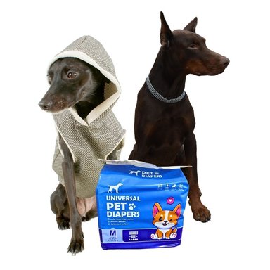 PAÑALES DESECHABLES PARA PERRO MACHO M