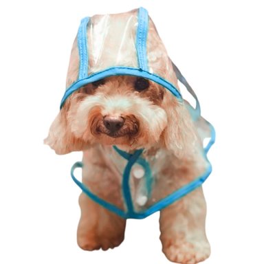 CAPA IMPERMEABLE DE LLUVIA PARA MASCOTAS TALLA 4 - 2