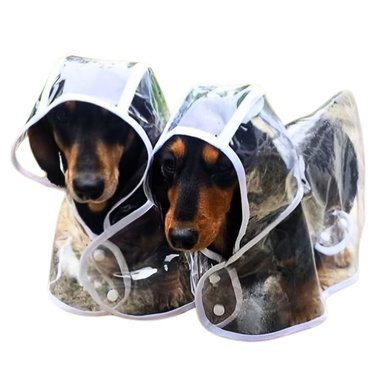 CAPA IMPERMEABLE DE LLUVIA PARA MASCOTAS TALLA 8 - 6