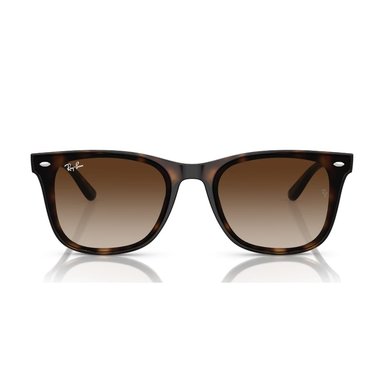 GAFAS DE SOL RAY BAN RB4396 - 1