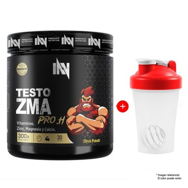 TESTO ZMA PRO.H ONE 300GR CITRUS PUNCH INN