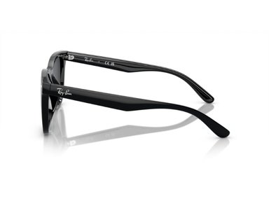 LENTES DE SOL BLACK RAY-BAN - 3