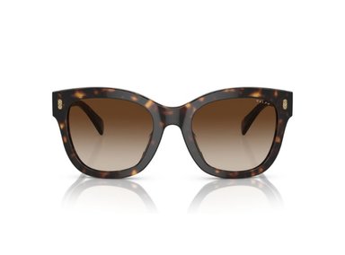 LENTES DE SOL SHINY DARK HAVANA RALPH