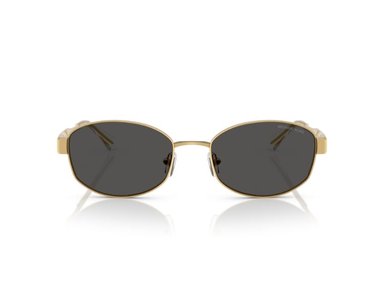 LENTES DE SOL MONTE CARLO GRIS OSCURO SÓLIDO MICHAEL KORS