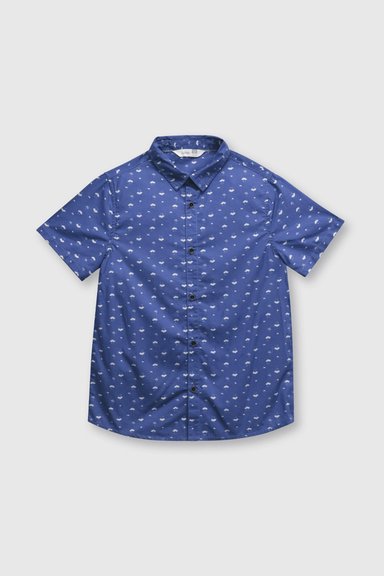CAMISA COLLOKY  NIÑO CAPN0350V24 AZUL