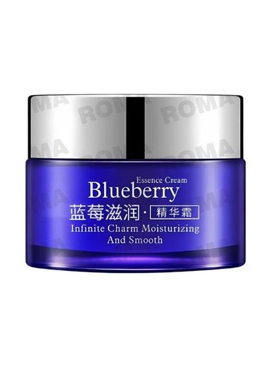 MASCARILLA NOCTURNA BLUEBERRY 50G BIOAQUA