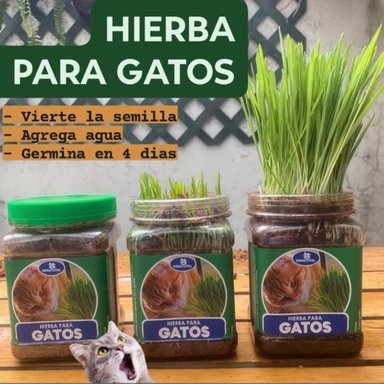 PACK RASCADOR POLARITA 2 PISOS BLANCO + HIERBA NATURAL PARA GATOS - 5