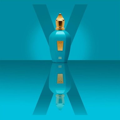 PERFUME XERJOFF ERBA PURA EDP UNISEX | 50ML - 4