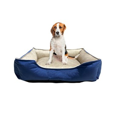 CAMA PARA MASCOTAS ANTIALÉRGICA T-L AZUL CON BEIGE