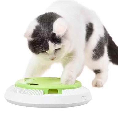JUGUETE GATO BASE PLATO CON PLUMA GIRATORIA LJQ0131 OTHER BLANCO/VERDE