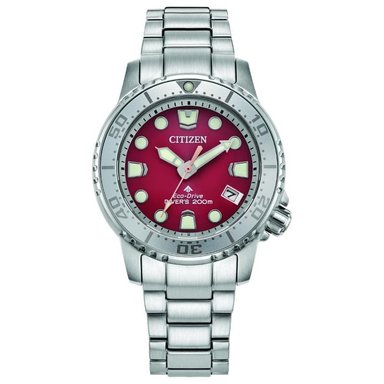 RELOJ CITIZEN PARA MUJER EO2027-50Z